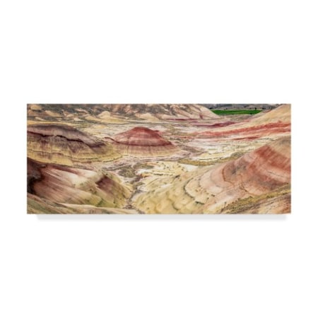 Pierre Leclerc 'Painted Hills' Canvas Art,14x32